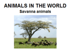 Treasure hunt: Savanna animals | Recurso educativo 33592