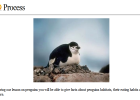 Webquest: Penguins | Recurso educativo 34888