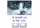 Storybook: Who's at the zoo? | Recurso educativo 37880
