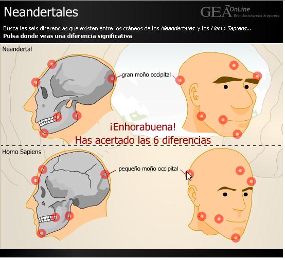 Diferentcias entre Homo Sapiens y Neandertales | Recurso educativo 44325