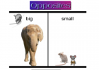 Opposites | Recurso educativo 45464
