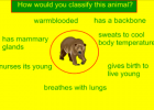 Animal characteristics | Recurso educativo 46367