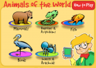 Animals of the world | Recurso educativo 47811