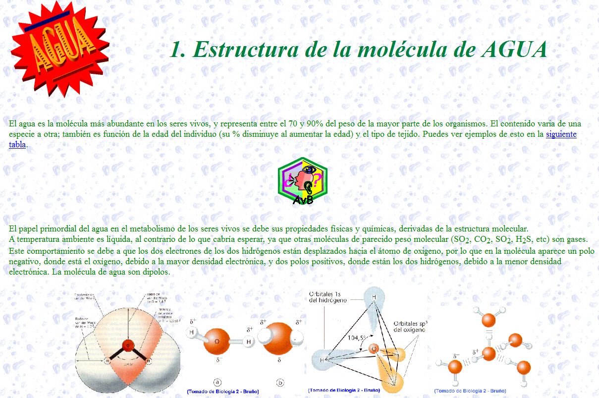 Estructura d ela molècula de l'aigua | Recurso educativo 48534