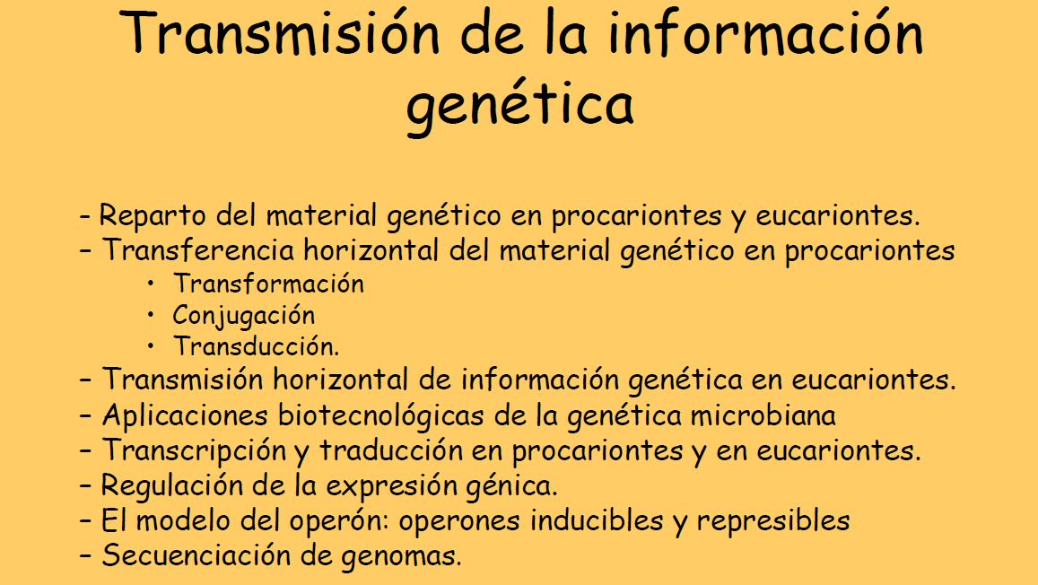 Genética molecular | Recurso educativo 49507