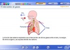 Intercambio de gases en los pulmones | Recurso educativo 49896