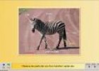 Animals vertebrats | Recurso educativo 3856