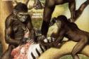 La prehistoria y el origen de la humanidad | Recurso educativo 7562