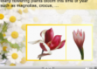 Spring presentation | Recurso educativo 62560