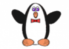 Centro de interés: El Pingüino | Recurso educativo 70607