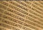 Conceptos de genética | Recurso educativo 71953