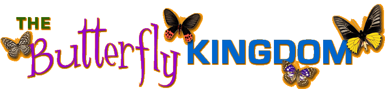 The butterfly kingdom | Recurso educativo 75168