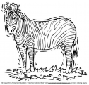 Safari animals printables | Recurso educativo 78111