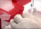 Biotechnology | Educational Video | Applications of biotechnology | Recurso educativo 676558