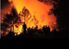 Incendios forestales | Recurso educativo 687184