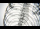 Cuerpo visto con rayos X en movimiento | Recurso educativo 723902