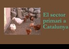 El sector primari a Catalunya | Recurso educativo 724834