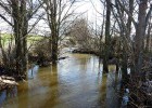 Trasbaseko ura Las Tablas de Daimiel natura-parkera heldu da | Recurso educativo 728238