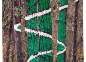 Intervención artística en el bosque de Oma | Recurso educativo 729492