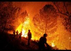 Incendis forestals | Recurso educativo 730963