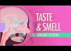 Taste & Smell | Recurso educativo 742275