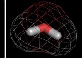 Estructura y Función de las Moléculas Orgánicas | Recurso educativo 743610