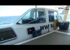 Solar boat, WWF Solar, El primer barco solar que cruzó el Atlántico. | Recurso educativo 746327