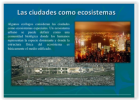 Ecosistemas Urbanos | Recurso educativo 761514