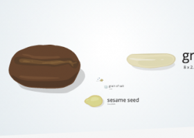 Cell Size and Scale | Recurso educativo 725644