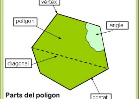 Els polígons | Recurso educativo 770391