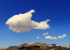 Fish-shaped cloud | Recurso educativo 773451