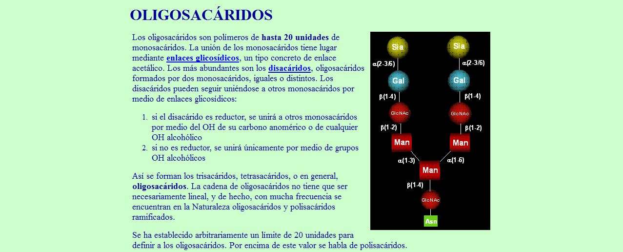 Oligosacáridos | Recurso educativo 46590