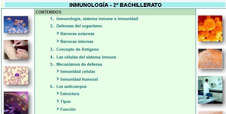 Immunologia | Recurso educativo 48128