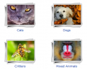 Animals puzzle gallery | Recurso educativo 59552