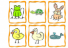 Animals Flashcards | Recurso educativo 19289