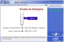 Prueba de hidrógeno y de dióxido de carbono | Recurso educativo 3074