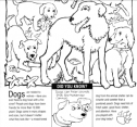 Dogs, lobsters, elephants | Recurso educativo 63322