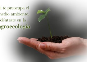 Curso de Agroecología. Agricultura y ganadería sostenibles | MasSaber | Recurso educativo 113999