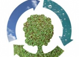 Recursos sobre el medio ambiente | Recurso educativo 687775