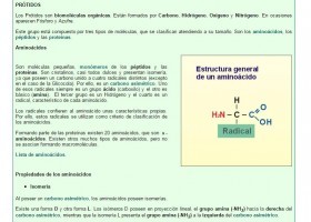 Aminoácidos | Recurso educativo 755407