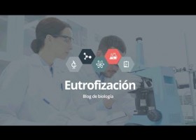 Eutrofización | Recurso educativo 760833