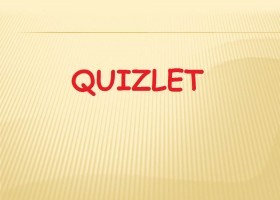 MYEX12 Flashcards Pets | Quizlet SM | Recurso educativo 763725